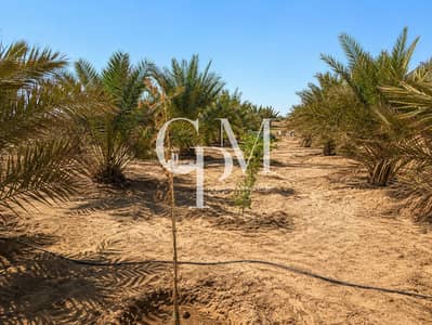Mixed Use Land de  à à vendre à Al Ajban, Al Ain - 2b54e5d0-f61d-41a3-86d4-ca1ad0442882. png