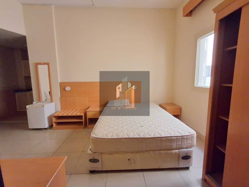 4 74319. jpg