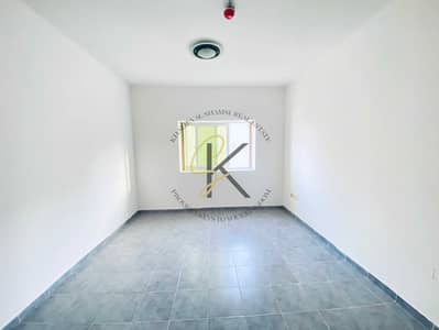 1 Bedroom Flat for Rent in Muwaileh Commercial, Sharjah - IMG_0537. jpg 1 Bedroom Flat for Rent in Muwaileh Commercial, Sharjah - IMG_0537. jpg