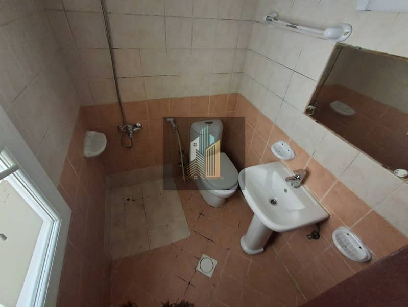 6 304710. jpg