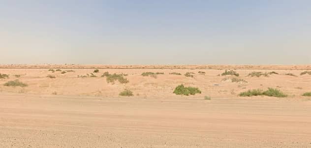 Plot in Vendita a Al Sehma, Sharjah - WhatsApp Image 2026-07-16 at 6.29. 40 AM. jpeg Plot in Vendita a Al Sehma, Sharjah - WhatsApp Image 2026-07-16 at 6.29. 40 AM. jpeg
