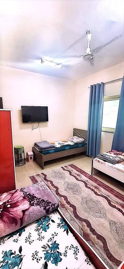 فلیٹ 2 غرفة نوم للايجار في القاسمية، الشارقة - 3a97db89-42f3-4830-b173-d8524c86fda3. jpg فلیٹ 2 غرفة نوم للايجار في القاسمية، الشارقة - 3a97db89-42f3-4830-b173-d8524c86fda3. jpg