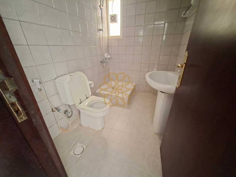 8 149518. jpg
