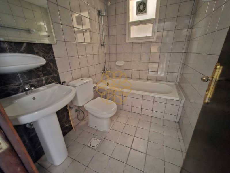8 149535. jpg