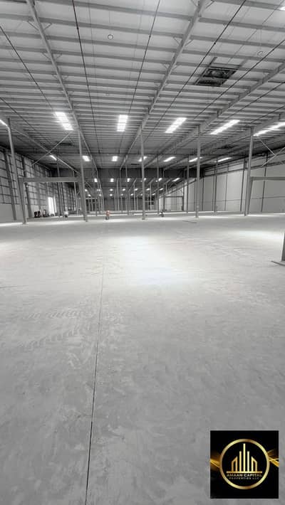 Warehouse for Rent in Umm Al Thuoob, Umm Al Quwain - WhatsApp Image 2026-07-16 at 4.13. 35 PM (2). jpeg Warehouse for Rent in Umm Al Thuoob, Umm Al Quwain - WhatsApp Image 2026-07-16 at 4.13. 35 PM (2). jpeg