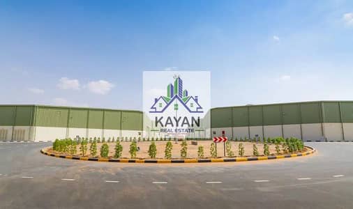 Warehouse zum zur Miete in Umm Al Thuoob, Umm Al Quwain - 500454983-800x600. jpeg Warehouse zum zur Miete in Umm Al Thuoob, Umm Al Quwain - 500454983-800x600. jpeg