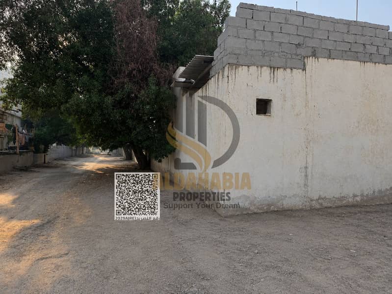 6 ChatGPT Image 19 يوليو 2026، 03_45_30 م. png. png