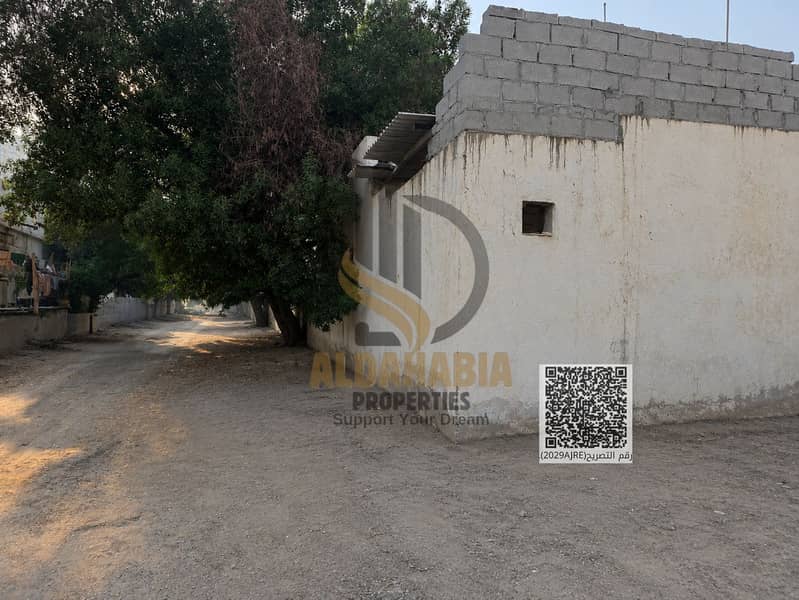 6 ChatGPT Image 19 يوليو 2026، 03_45_30 م. png. png