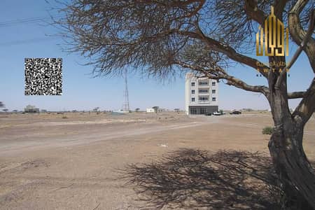 Plot in vendita a Al Manama, Ajman - Terreno a Al Manama, 125000 AED - 15885217 Plot in vendita a Al Manama, Ajman - Terreno a Al Manama, 125000 AED - 15885217