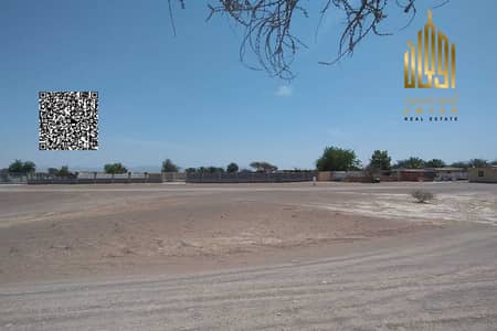 Plot zum zum Verkauf in Al Manama, Ajman - Grundstück in Al Manama, 190000 AED - 15885212 Plot zum zum Verkauf in Al Manama, Ajman - Grundstück in Al Manama, 190000 AED - 15885212