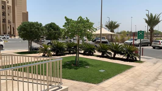 1 Bedroom Apartment for Rent in Mussafah, Abu Dhabi - Hot Offer! @50K! 1 Bedroom With Parking, GYM, Swimming Pool. 1 Bedroom Apartment for Rent in Mussafah, Abu Dhabi - Hot Offer! @50K! 1 Bedroom With Parking, GYM, Swimming Pool.