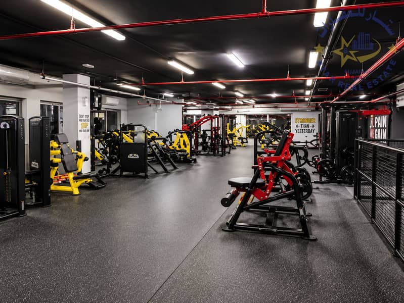 7 GYM2. png