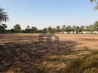 Other Commercial de  à à vendre à Al Ajban, Al Ain - Autre commercial à Al Ajban, 2400000 AED - 13318540