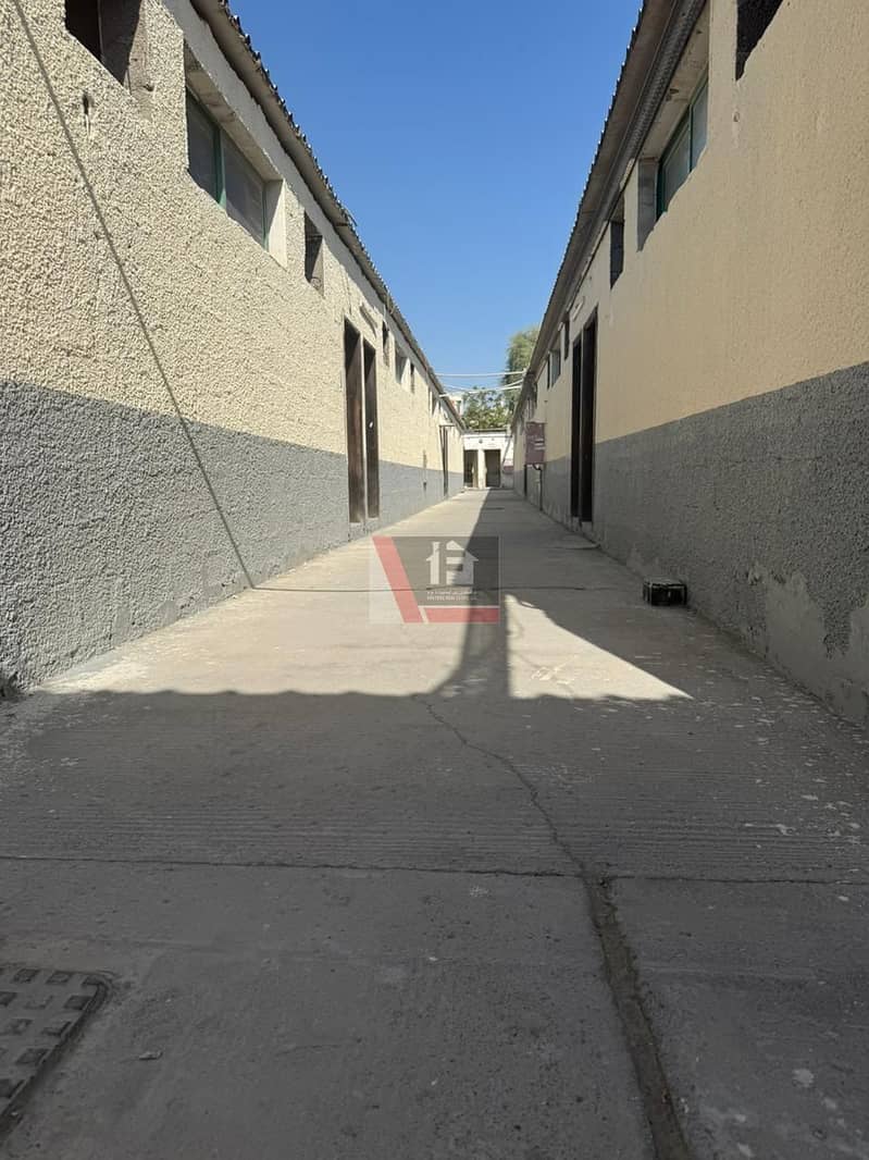 3 01. jpg