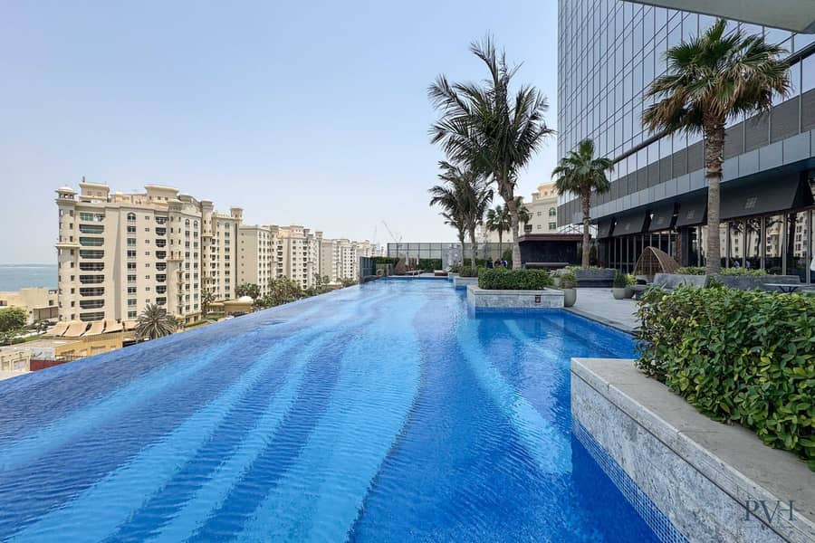 28 Palm-26. JPG