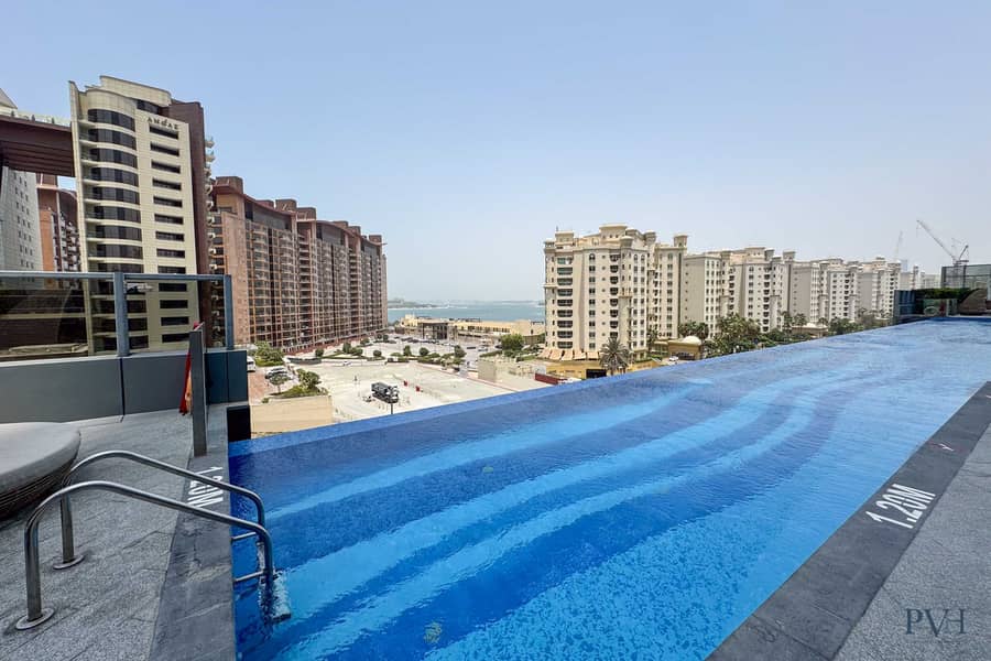 30 Palm-24. jpg