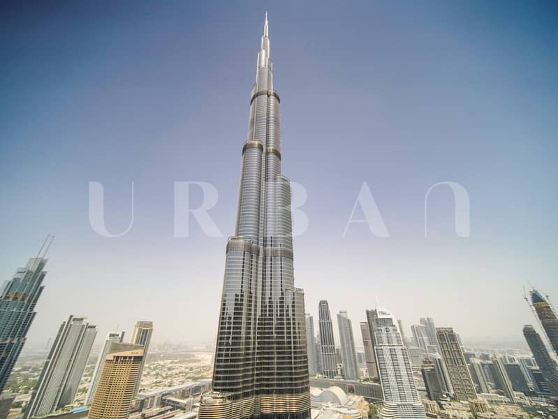 35 ADU00405. jpg
