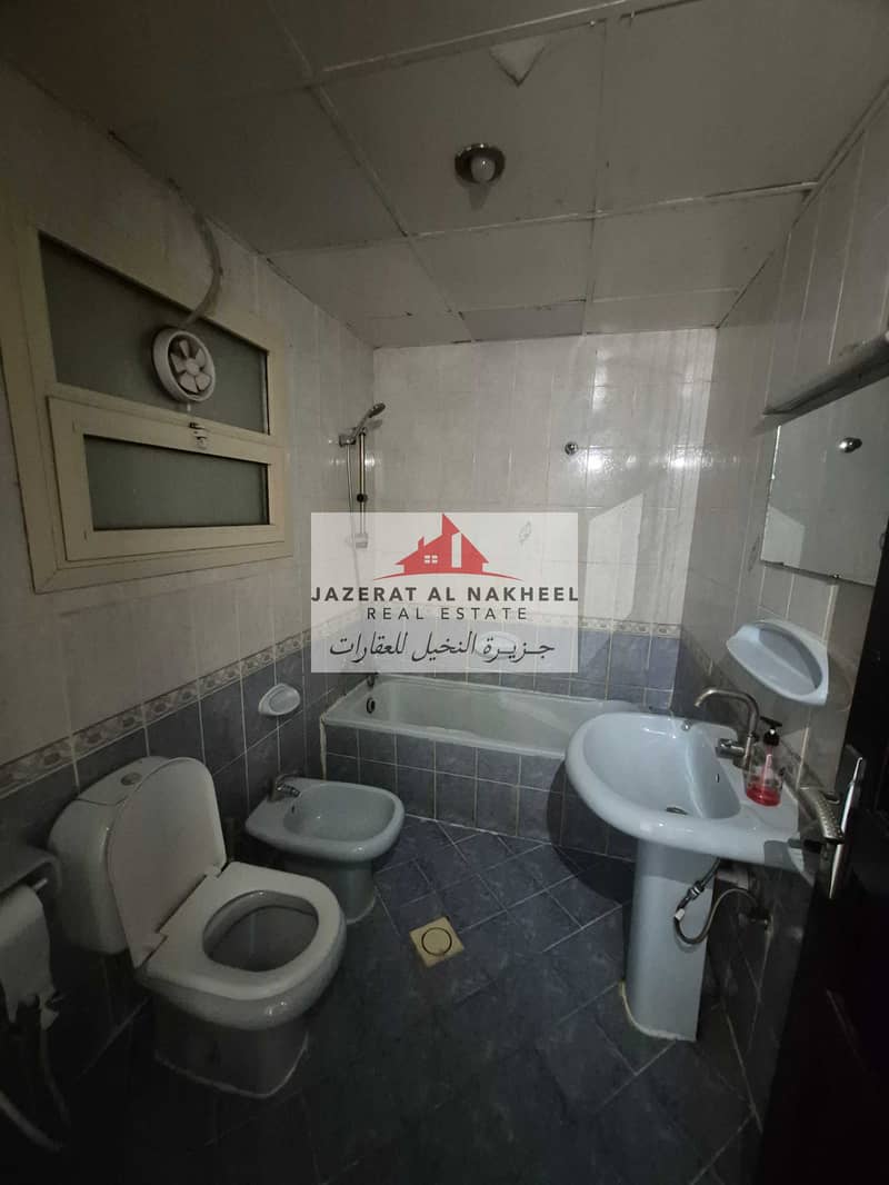 3 146475. jpg
