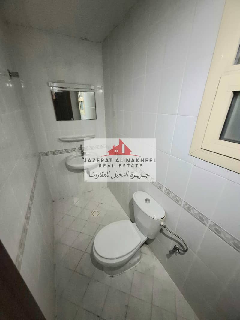 5 146472. jpg