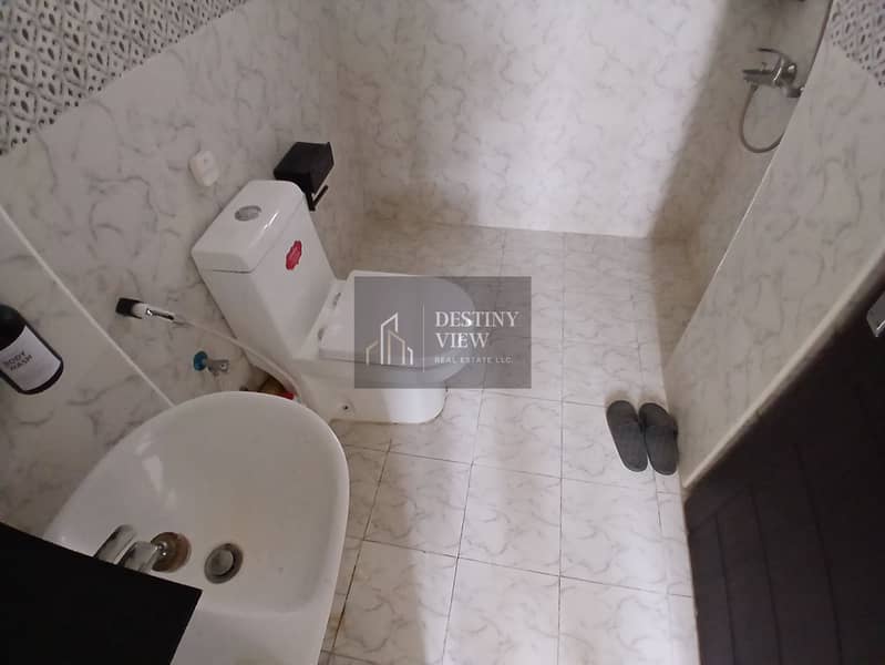 5 81161. jpg