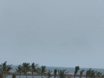 Studio for Rent in Corniche Ajman, Ajman - WhatsApp Image 2026-07-09 at 11.20. 33 AM. jpeg Studio for Rent in Corniche Ajman, Ajman - WhatsApp Image 2026-07-09 at 11.20. 33 AM. jpeg