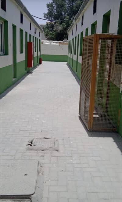 Labour Camp for Rent in Al Sajaa Industrial, Sharjah - IMG_1440. jpg Labour Camp for Rent in Al Sajaa Industrial, Sharjah - IMG_1440. jpg