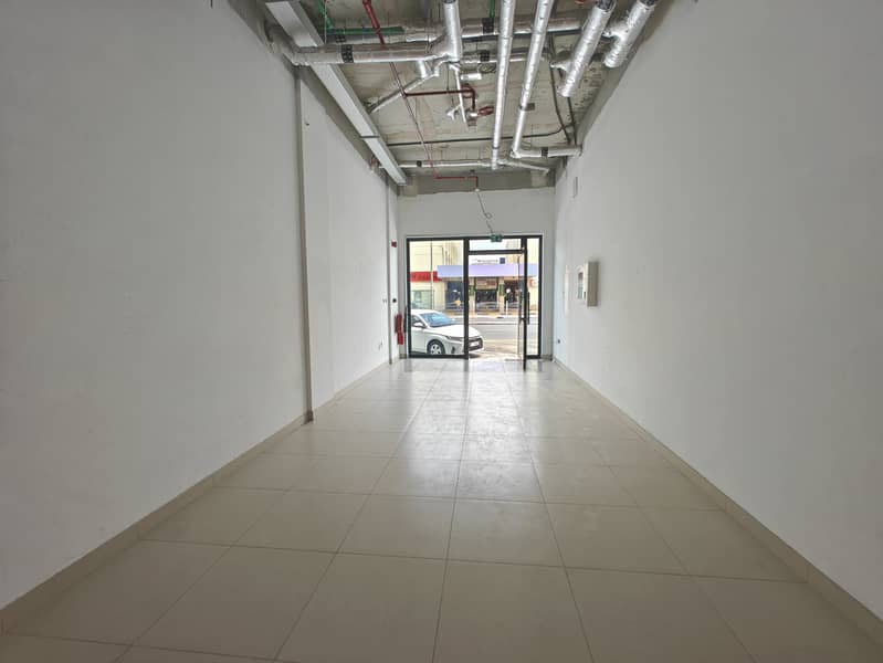 3 IMG20240408124248. jpg