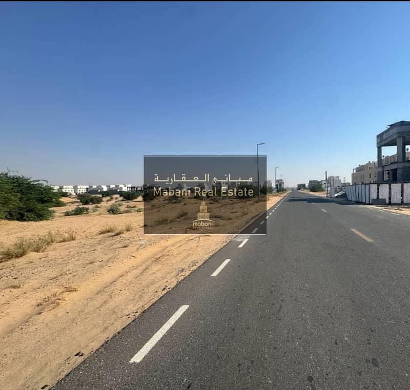3 IMG_6346. jpg