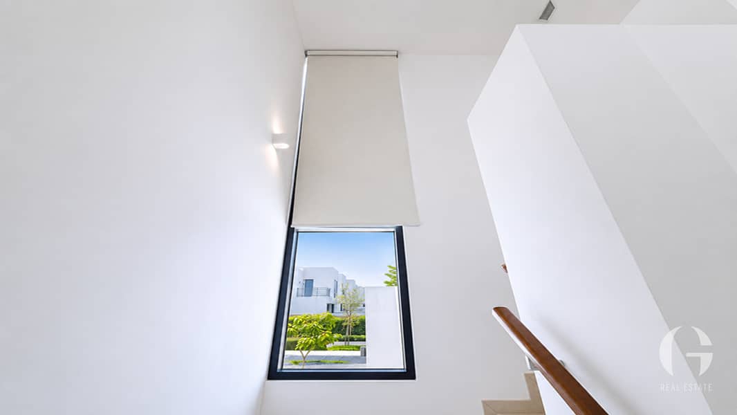 5 Image 5