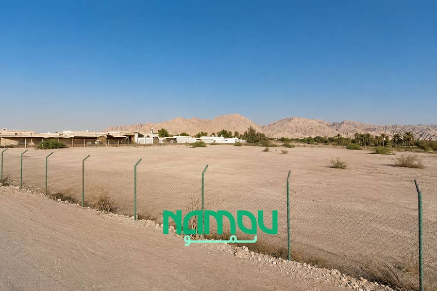 7 Image 7