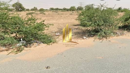 Industrial Land te Koop in Al Hamriyah, Sharjah - 85a7a2d7-972a-4681-85cb-e2bb1aba18b9. jpg Industrial Land te Koop in Al Hamriyah, Sharjah - 85a7a2d7-972a-4681-85cb-e2bb1aba18b9. jpg