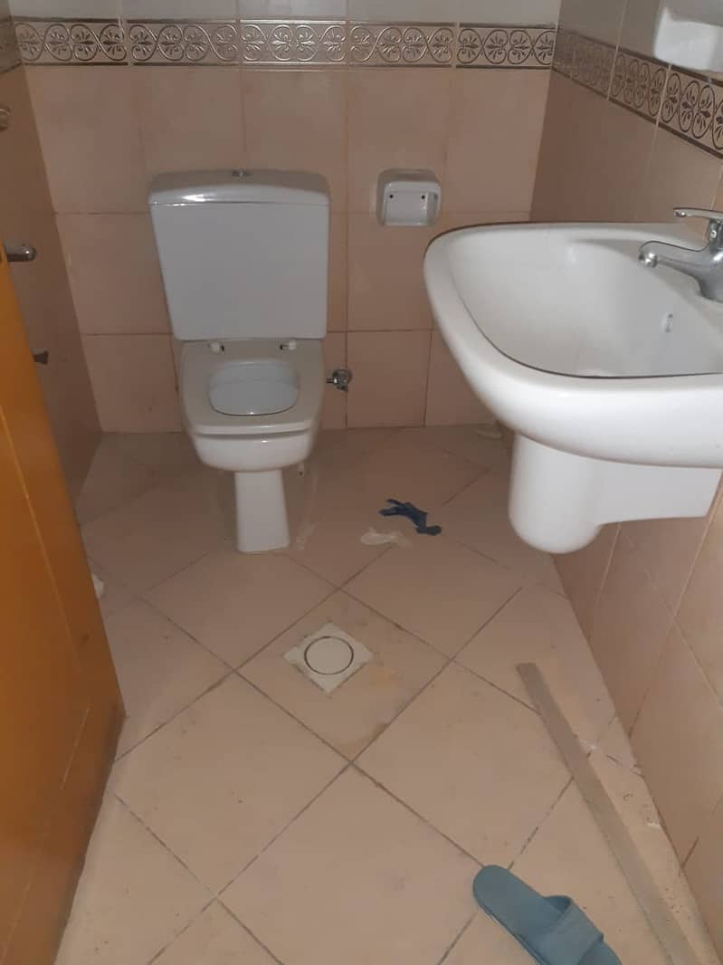 8 IMG_0542. jpeg