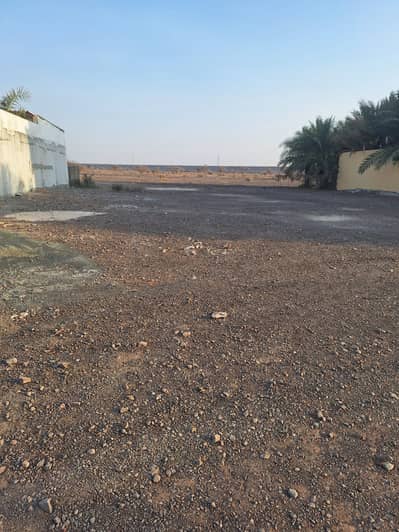 Plot in vendita a Al Manama, Ajman - 344351. jpg Plot in vendita a Al Manama, Ajman - 344351. jpg