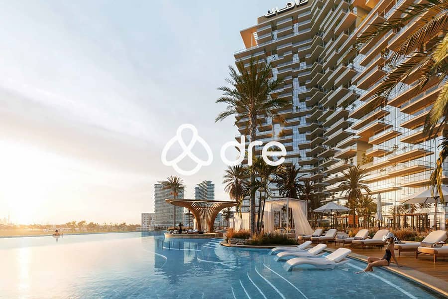 5 6. jpg