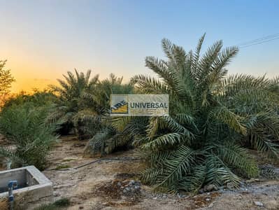 Mixed Use Land for Sale in mudfak, Ras Al Khaimah - b439fb74-ec43-4909-b6df-acceb40ab230. jpg Mixed Use Land for Sale in mudfak, Ras Al Khaimah - b439fb74-ec43-4909-b6df-acceb40ab230. jpg
