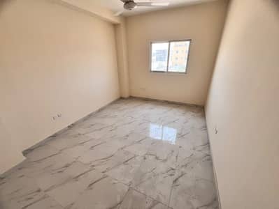 2 Bedroom Flat for Rent in Al Alia, Ajman - addf80c2-e1cd-4d47-8c25-cc42c0b8cbba. jpg 2 Bedroom Flat for Rent in Al Alia, Ajman - addf80c2-e1cd-4d47-8c25-cc42c0b8cbba. jpg