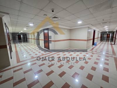 2 Bedroom Flat for Rent in Muwaileh Commercial, Sharjah - 176986. jpg 2 Bedroom Flat for Rent in Muwaileh Commercial, Sharjah - 176986. jpg