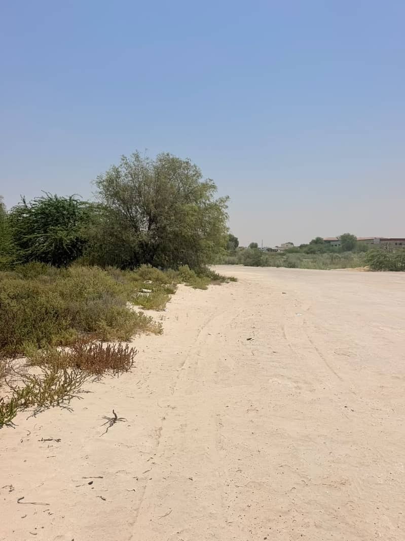 5 WhatsApp Image 2026-07-23 at 4.19. 18 PM. jpeg
