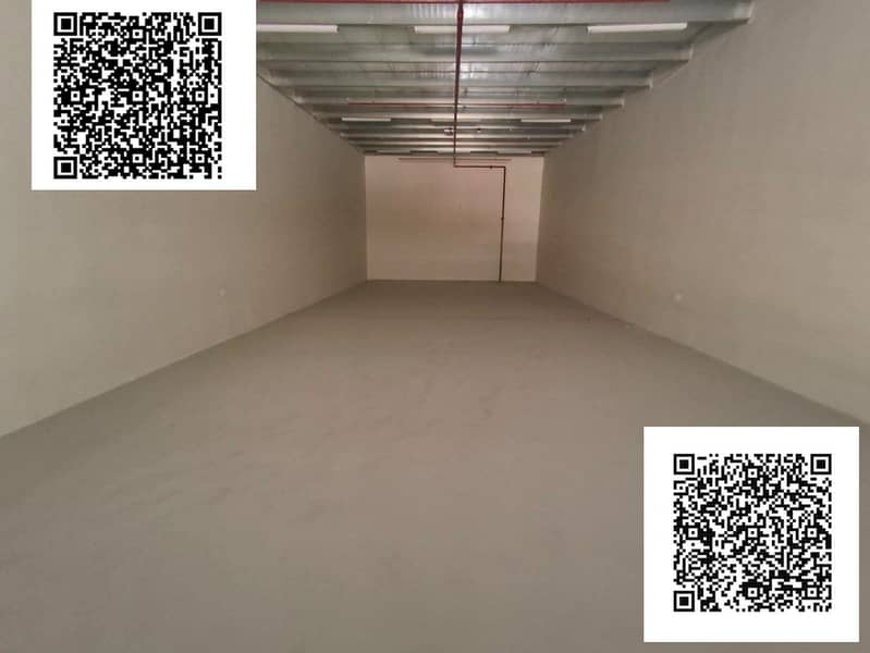 5 1000135500. jpg