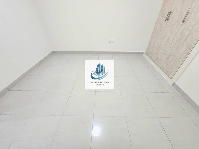 8 204655. jpg