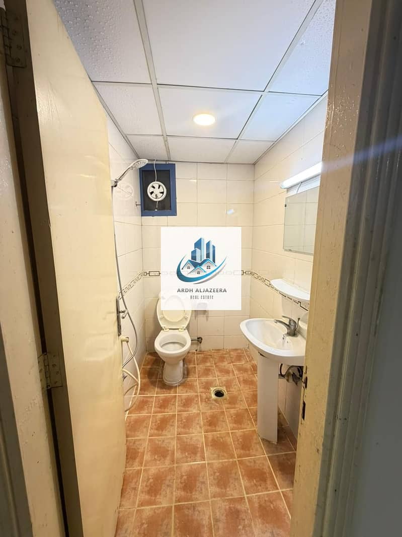 4 204831. jpg