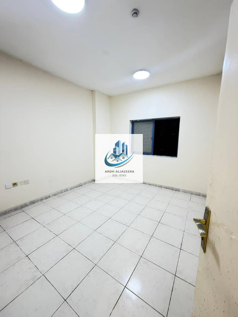 7 204822. jpg