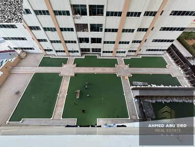 1 Bedroom Apartment for Rent in Al Rashidiya, Ajman - WhatsApp Image 2026-06-07 at 08.21. 50. jpeg 1 Bedroom Apartment for Rent in Al Rashidiya, Ajman - WhatsApp Image 2026-06-07 at 08.21. 50. jpeg