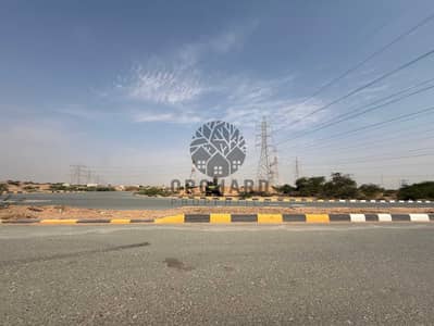 Industrial Land for Sale in Al Hamriyah, Sharjah - IMG_1924. jpg