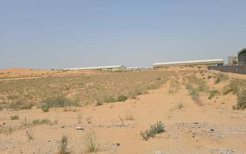ارض صناعية  للايجار في صناعية الصجعة، الشارقة - IMG-20260719-WA0034 (1). jpg