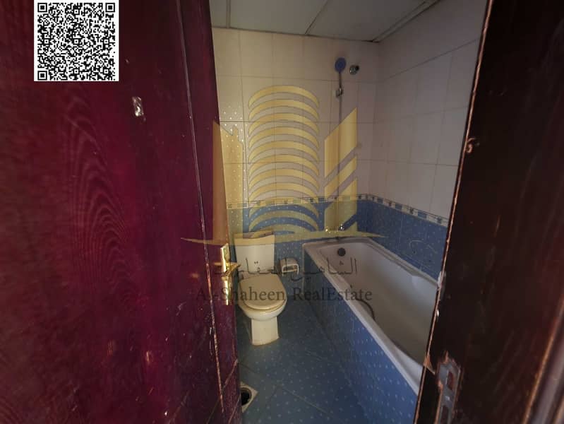 7 1001244771. jpg
