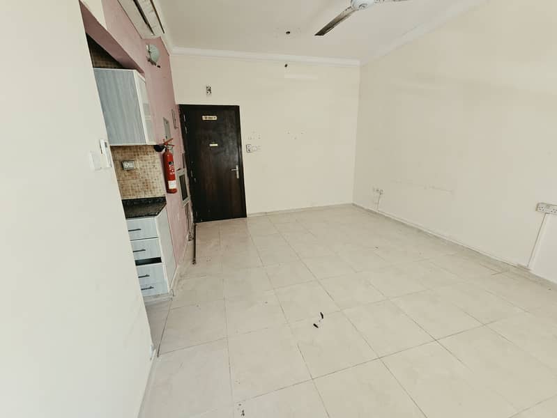 5 515351. jpg