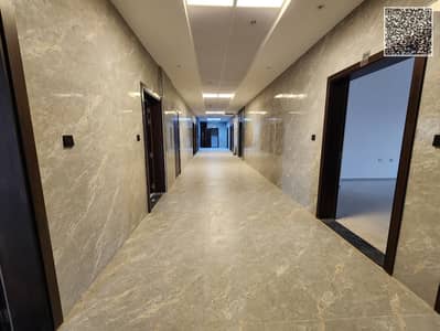 2 Bedroom Apartment for Rent in Al Alia, Ajman - WhatsApp Image 2026-07-26 at 2.02. 31 AM (2). jpeg 2 Bedroom Apartment for Rent in Al Alia, Ajman - WhatsApp Image 2026-07-26 at 2.02. 31 AM (2). jpeg