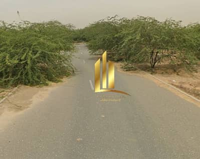 Industrial Land zum zum Verkauf in Al Hamriyah, Sharjah - لقطة شاشة 2026-04-12 105124. png Industrial Land zum zum Verkauf in Al Hamriyah, Sharjah - لقطة شاشة 2026-04-12 105124. png
