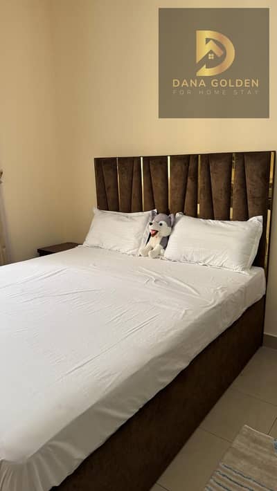 Studio for Rent in Al Majaz, Sharjah - WhatsApp Image 2026-07-07 at 12.54. 28 PM (3). jpeg Studio for Rent in Al Majaz, Sharjah - WhatsApp Image 2026-07-07 at 12.54. 28 PM (3). jpeg